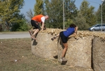 DSC07527.jpg