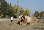DSC07539.jpg