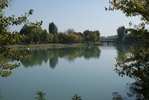 DSC07557.jpg