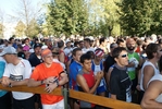 DSC07675.jpg