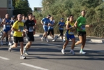 DSC07849.jpg
