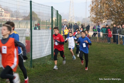 Clicca per vedere l'immagine alla massima grandezza