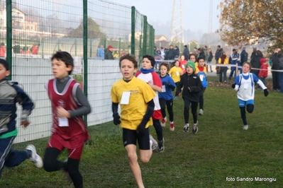 Clicca per vedere l'immagine alla massima grandezza