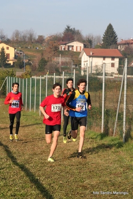 Clicca per vedere l'immagine alla massima grandezza