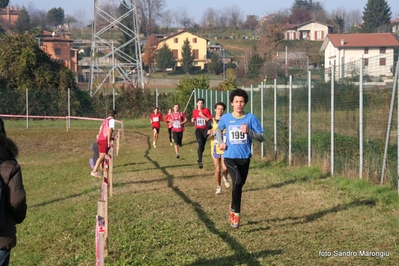 Clicca per vedere l'immagine alla massima grandezza