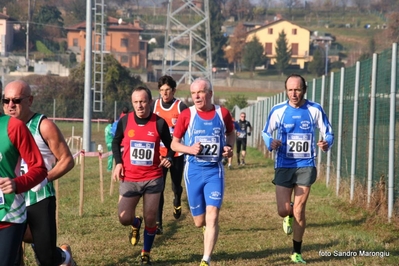 Clicca per vedere l'immagine alla massima grandezza
