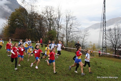 Clicca per vedere l'immagine alla massima grandezza