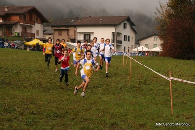 Clicca per vedere l'immagine alla massima grandezza