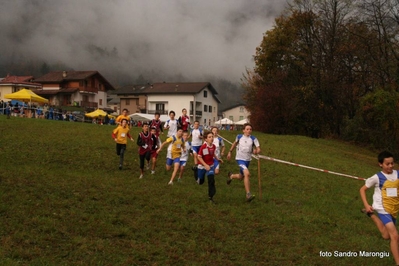 Clicca per vedere l'immagine alla massima grandezza