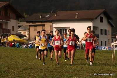 Clicca per vedere l'immagine alla massima grandezza