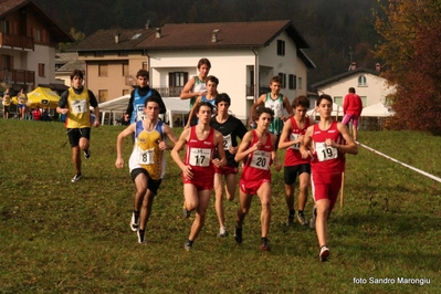 Clicca per vedere l'immagine alla massima grandezza