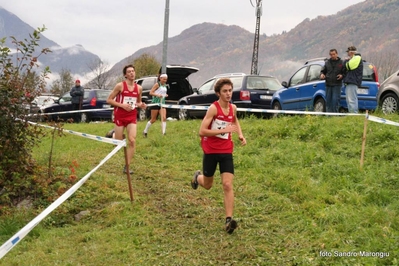 Clicca per vedere l'immagine alla massima grandezza
