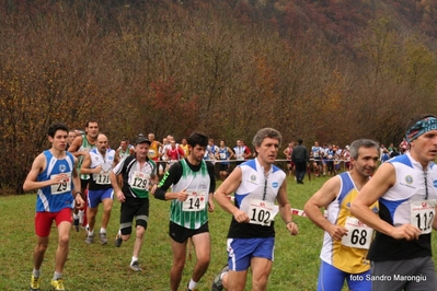 Clicca per vedere l'immagine alla massima grandezza