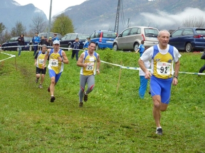 Clicca per vedere l'immagine alla massima grandezza