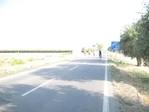 Faggiano_001_2842729.jpg