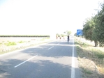 Faggiano_001_2842829.jpg