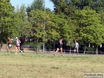 P1570382.jpg