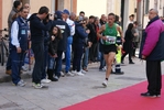 stral_859.jpg