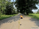 17_08_2011_Monza_parco_misurazione_percorso_MDM_foto_Roberto_Mandelli_0076.jpg