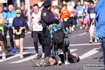 06_11_2011_New_York_Marathon_foto_Roberto_Mandelli_2540.jpg