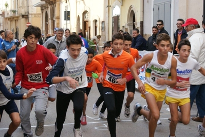 Clicca per vedere l'immagine alla massima grandezza