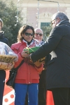 pdg_1455.jpg