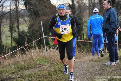 Clicca per vedere l'immagine alla massima grandezza