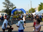 P1290752_5B1024x7685D.JPG