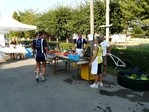P1290776_5B1024x7685D.JPG