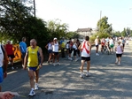 P1290790_5B1024x7685D.JPG