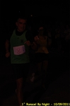 RunscelByNight170.jpg