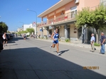 Salice_1_2823329.jpg