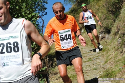 Clicca per vedere l'immagine alla massima grandezza