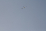 IMG_7257.jpg