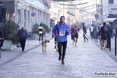 Clicca per vedere l'immagine alla massima grandezza