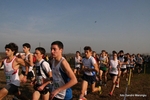 IMG_2186.jpg