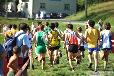 Clicca per vedere l'immagine alla massima grandezza