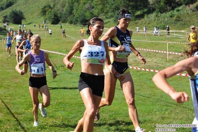 Clicca per vedere l'immagine alla massima grandezza