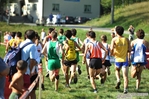DSC_2175.jpg
