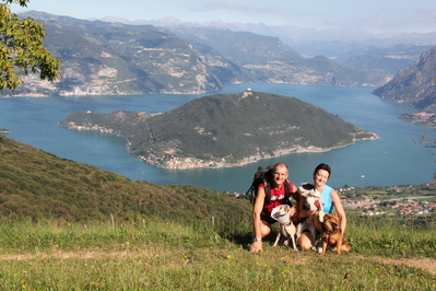 Clicca per vedere l'immagine alla massima grandezza