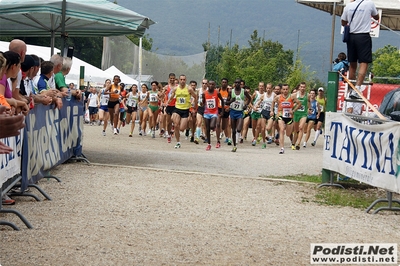 Clicca per vedere l'immagine alla massima grandezza