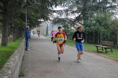Clicca per vedere l'immagine alla massima grandezza