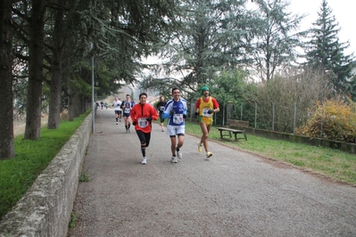 Clicca per vedere l'immagine alla massima grandezza