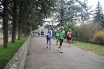 IMG_2592.jpg
