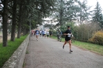 IMG_2593.jpg