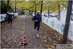 vian-truffle_morselli_stefano_311011_206.JPG