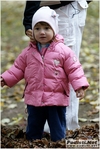 vian-truffle_morselli_stefano_311011_340.JPG