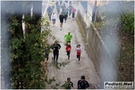 vian-truffle_morselli_stefano_311011_403.JPG