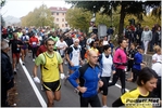 vian-truffle_morselli_stefano_311011_421.JPG