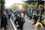 vian-truffle_morselli_stefano_311011_432.JPG